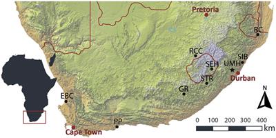 Making the Invisible Stratigraphy Visible: A Grid-Based, Multi-Proxy Geoarchaeological Study of Umhlatuzana Rockshelter, South Africa